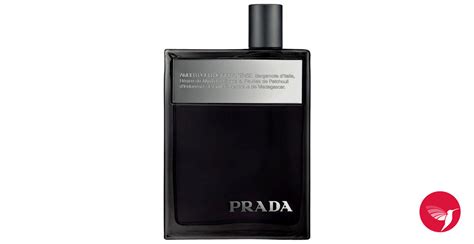 prada amber intense release date|Prada amber aftershave for men.